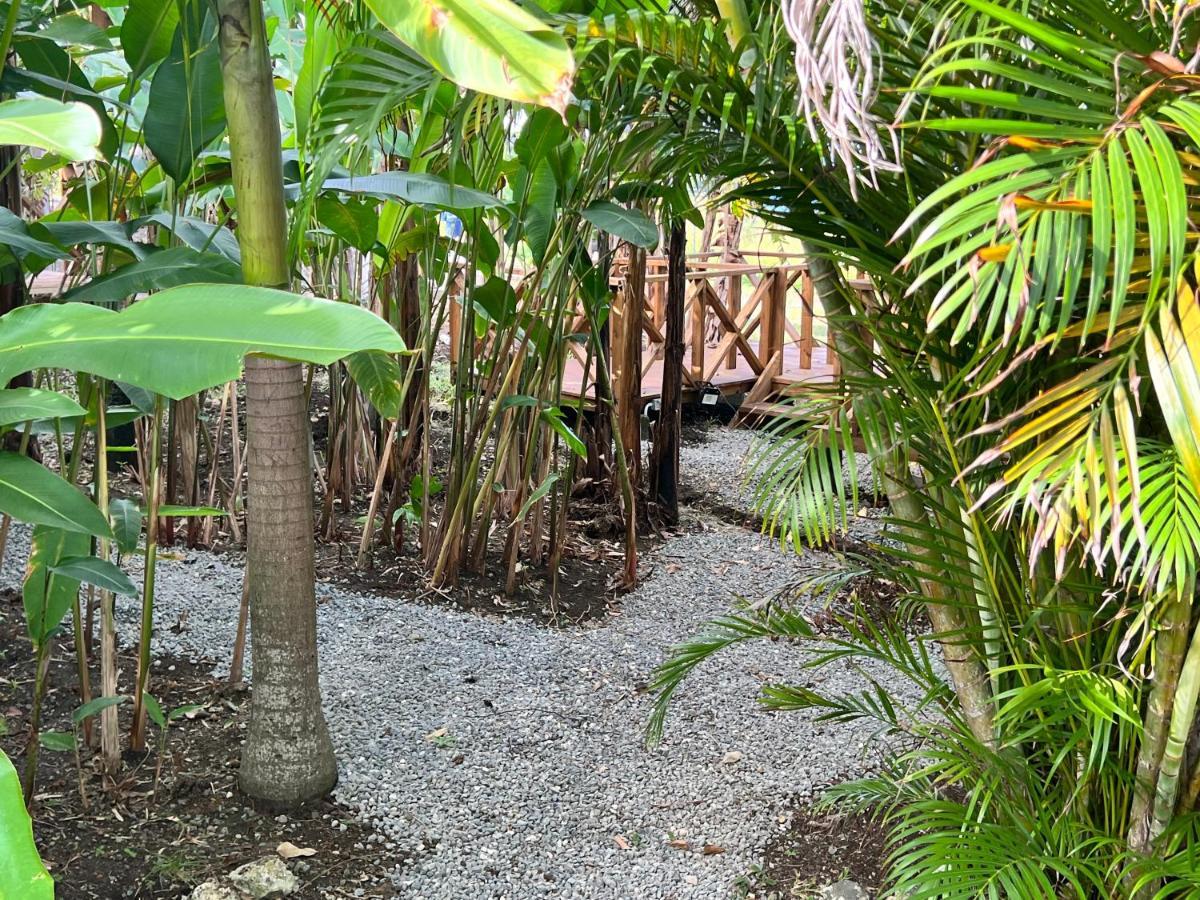 Jamaica Colors Hotel And Eco-Retreat Port Antonio Exterior photo