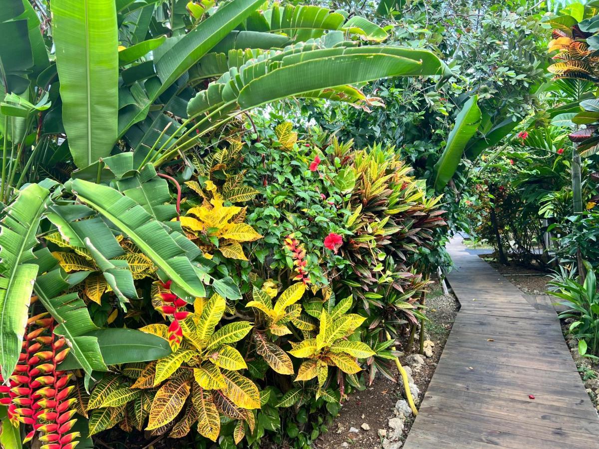 Jamaica Colors Hotel And Eco-Retreat Port Antonio Exterior photo