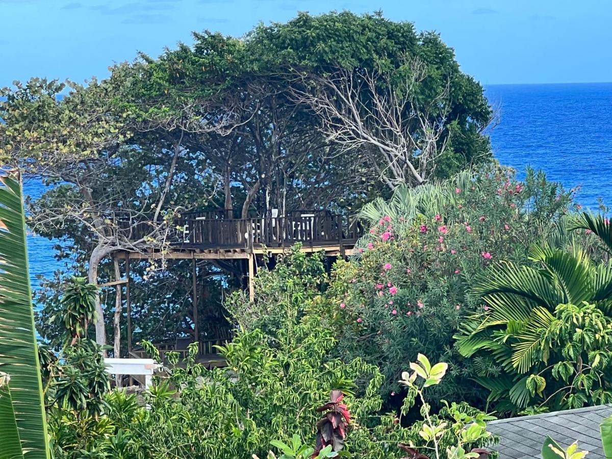 Jamaica Colors Hotel And Eco-Retreat Port Antonio Exterior photo