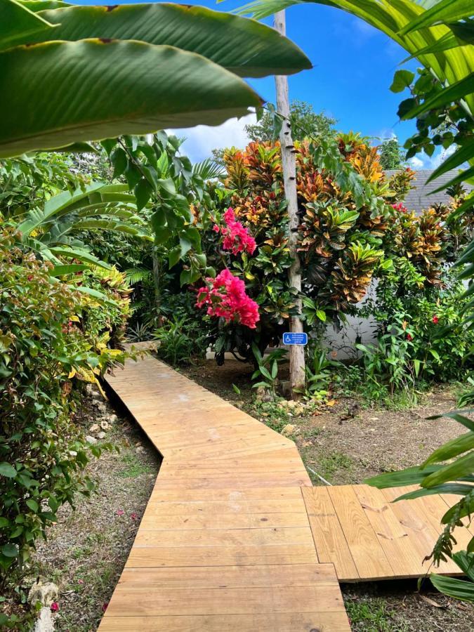 Jamaica Colors Hotel And Eco-Retreat Port Antonio Exterior photo