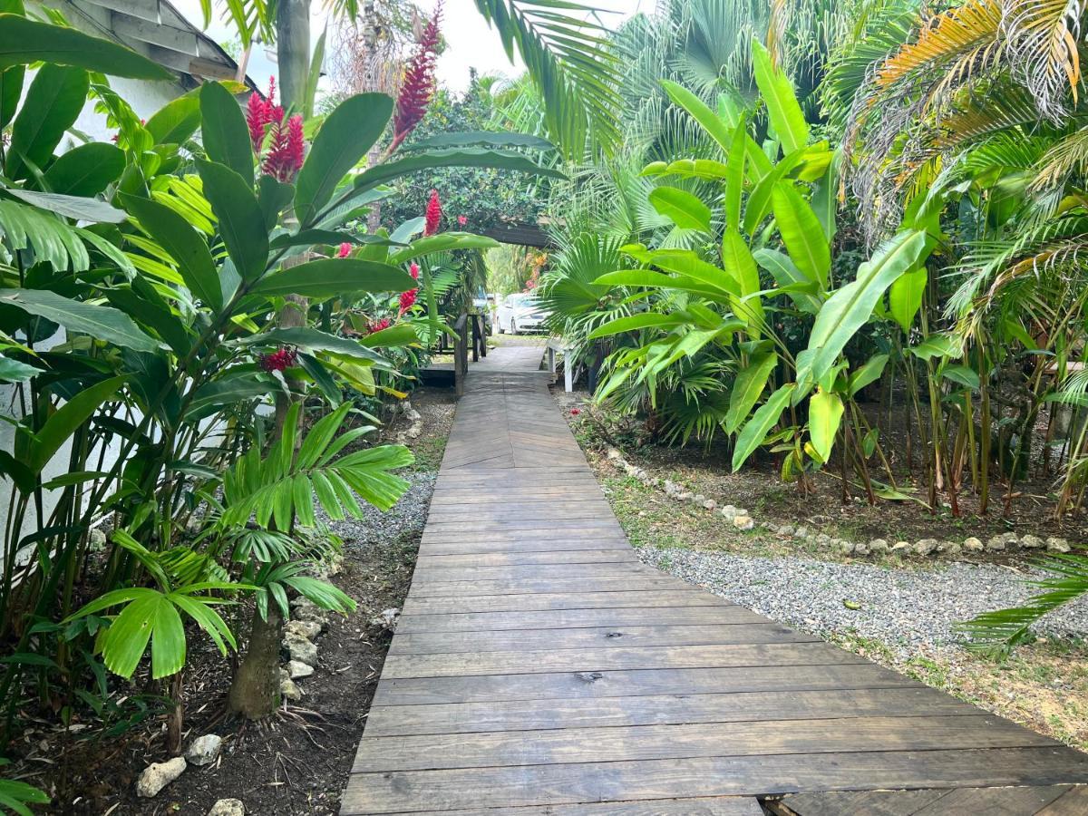Jamaica Colors Hotel And Eco-Retreat Port Antonio Exterior photo