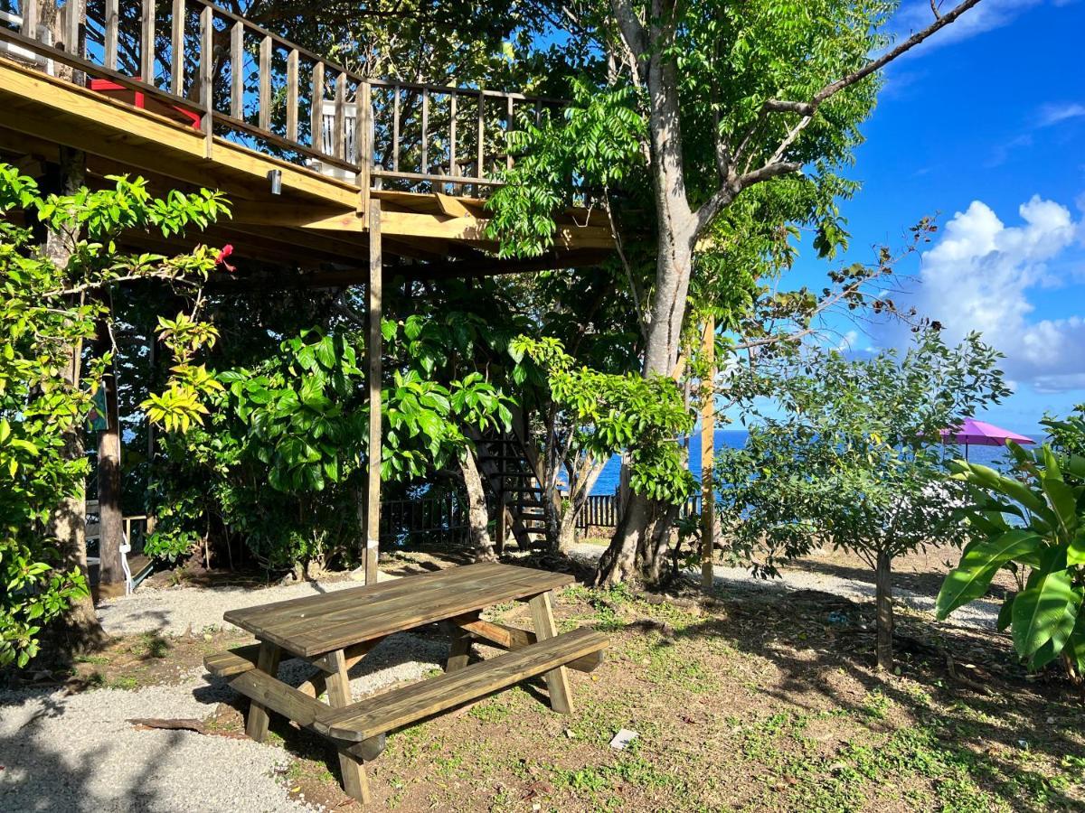 Jamaica Colors Hotel And Eco-Retreat Port Antonio Exterior photo