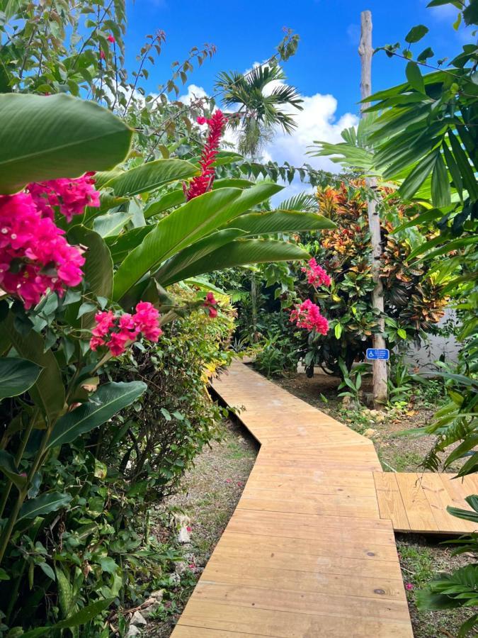 Jamaica Colors Hotel And Eco-Retreat Port Antonio Exterior photo