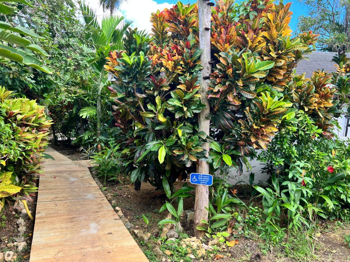 Jamaica Colors Hotel And Eco-Retreat Port Antonio Exterior photo